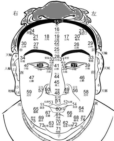 面相 年龄|1到100岁，面相流年气运图教你如何看自己的面相